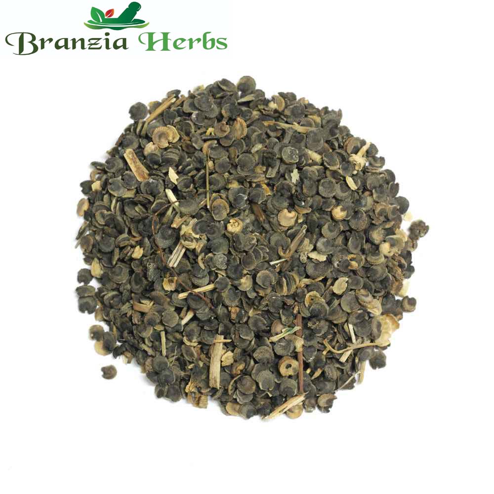 Khas Root- Khus Jad - Ushira Dried - Vetiver Roots - Vetiveria Zizanioides - Ramacham - Branzia Herbs
