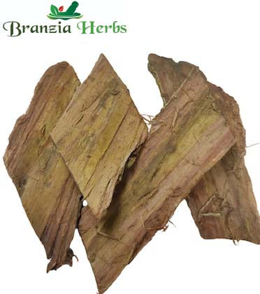 Kher Chhal Powder- Khair Chhal Powder -Khair Bark Powder -Khair Chaal Powder Khadira Powder Khadir Senegalia catechu - Branzia Herbs