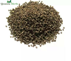 Khurasani Ajwain - Khurasani Ajwaain  Parasika Yavani Hyoscyamus niger Raw Herbs - Branzia Herbs