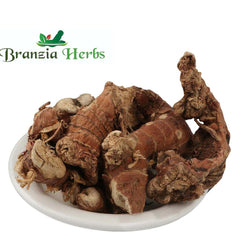 Kulanjan-Kulinjan Raw Herbs-Paan Jadd-Paan Root Dried-Pan Jad - Alpinia Galanga Wild - Branzia Herbs