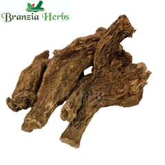Kuth Meetha-costus roots-Raw herbs-Jadi Booti - Branzia Herbs