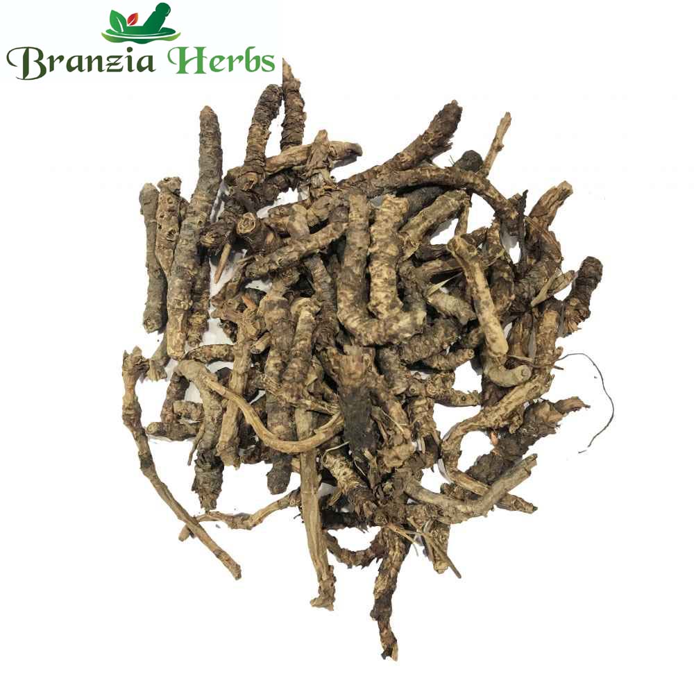 Kutki Root-Katuki Jadd-Kutaki Roots Picrorhiza Kurroa Dried-Raw Herbs - Branzia Herbs