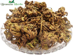 Laxmana Booti - Jadi Booti Sanjeevni -Dried Sanjivni Booti - Lakshmana Buti - Sanjeevani Buti - Sanjivani Raw Herbs - Branzia Herbs