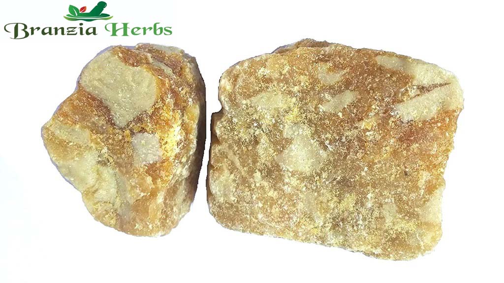 Lobhan Asli Singapuri - Loban Singapuri Spl - Lobaan - Lobhan - Gum Benzoin Resin - Sambrani-Raw herbs - Branzia Herbs