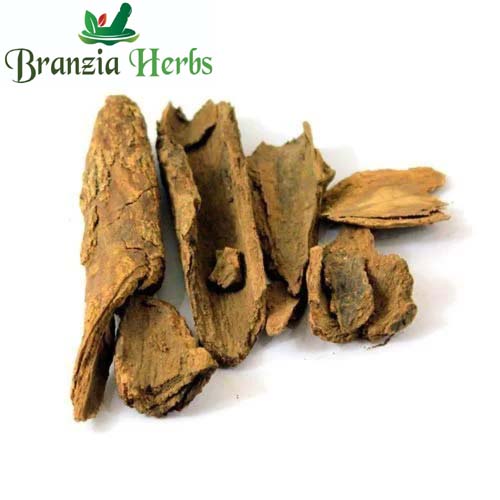 Maida Lakdi - Raw Herbs Maida Wood  -Dried Litsea Glutinosa - Branzia Herbs