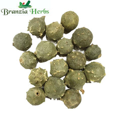 Majuphal-Oak Gall-Gallnuts Raw Herbs-Manjakani dried -Quercus Inefctoria - Branzia Herbs