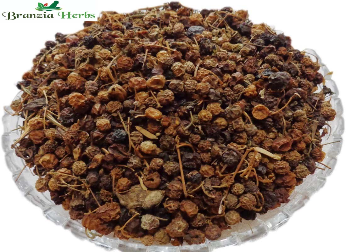 Makoy Phal-Makoh Fruit-Makoi-Solanum Nigrum Dried Raw Herbs - Branzia Herbs