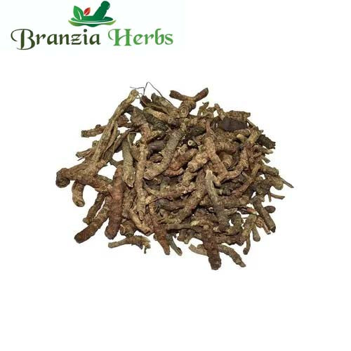 Mamira - Mameera Dried-coptis teeta wall- Raw Herbs - Branzia Herbs
