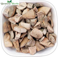 Mango Seed Kernel -Aam Guthali - Mangifera Indica - Branzia Herbs