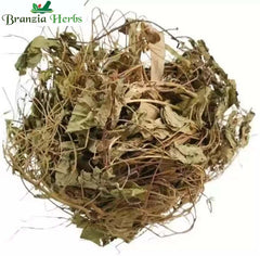 Masparni - Mashaparni - Teramnus labialis-Raw herbs-Jadi Booti - Branzia Herbs