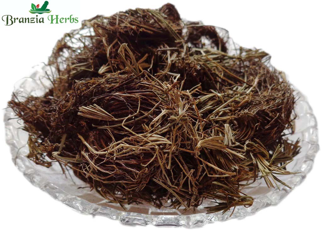 Mayur Shikha -mayur, shikha Dried ,Raw Herbs - Branzia Herbs