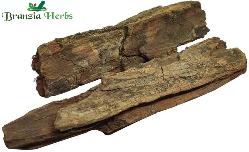 Molsari Chaal - Maulsari Chhal - Moulsiri Chal - Raw herbs Jadi Booti Mollsiri Bark - Branzia Herbs