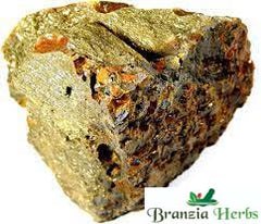 Murdasingi - Murdar Singh Dried- Raw Herbs/Jadi Booti Murdar Seng - Litharge - Branzia Herbs