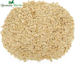 Muskmelon Seeds - Musk Melon Seeds - Kharbooj Beej  -Kharbuje Beej - Cantaloupe Seeds - Branzia Herbs