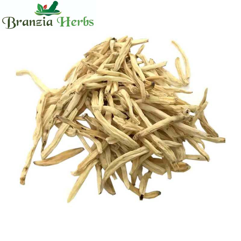 Musli Safed - White Musli - Shwet Muslie-Raw Herbs/Jadi Booti Dried-Chlorophytum Borivilianum - Branzia Herbs