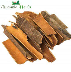Dalchini – Cinnamon Bark – Cinnamomum zeylanicum - Branzia Herbs