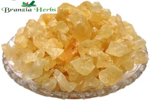 Gond Katira – Indian tragacanth – Cochlospermum gossypium - Branzia Herbs