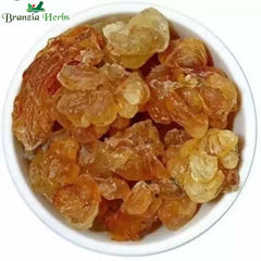 Gond Kikar – Babool Gum – Vachellia nilotica - Branzia Herbs