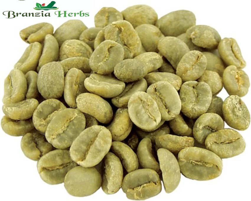 Green Coffee Beans – Bunddana - Branzia Herbs