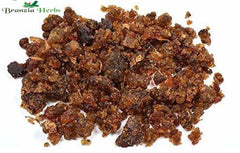 Guggal (pure) – Gugal – Commiphora - Branzia Herbs