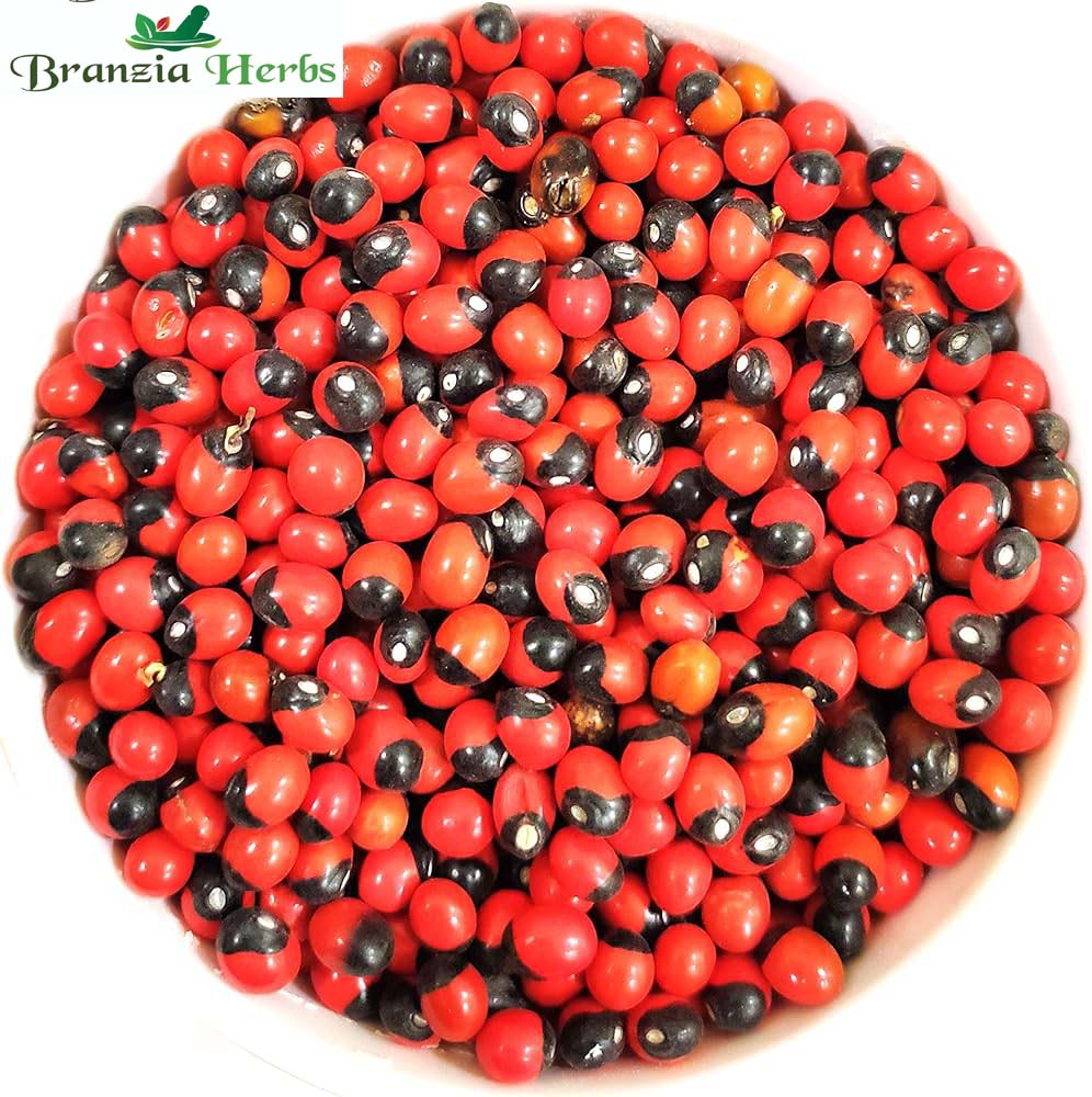 Gunja Lal Seeds – Chiramati Red Beej – Lal Chanothi – Arbus precatorius - Branzia Herbs