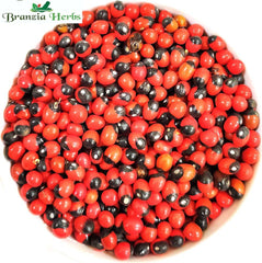 Gunja Lal Seeds – Chiramati Red Beej – Lal Chanothi – Arbus precatorius - Branzia Herbs