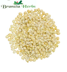 Gunja Safed Seeds – Chiramati White Beej – Safed Chanothi – Arbus precatorius - Branzia Herbs