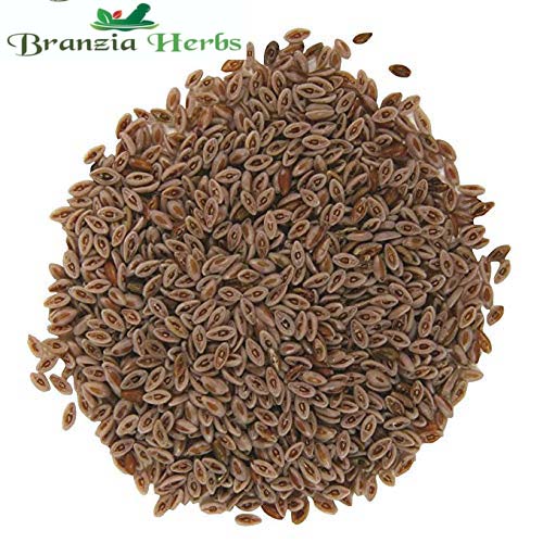 Isabgol Beej – Flea Seed – Plantago Ovata - Branzia Herbs