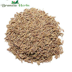 Jeera Safed – Cumin seeds – Cuminum cyminum - Branzia Herbs