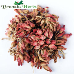 Phool Dhawa - Dhawai Flower - Woodfordia Fruticosa - Anogeissus Latifolia - Dhataki Phool - Branzia Herbs