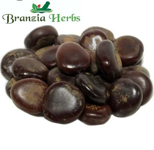 Tamarind Seeds Big - Beej Imli Bada - Tamarindus Indica - Emli Seeds Big Imli Beej Pahadi - Branzia Herbs