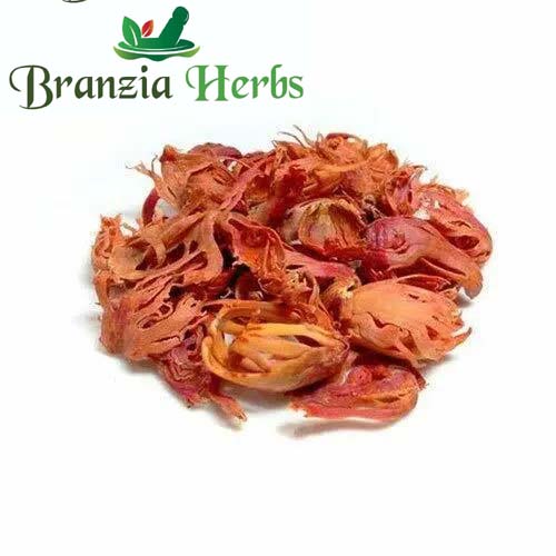 MYRISTICA FRAGRANS - JAVITRI - JAVETRI - DRY MACE FLOWER - Branzia Herbs