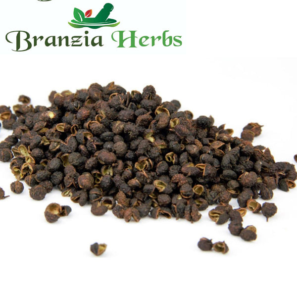 Kabab Khanda – Toothache Tree – Zanthoxylum Armatum - Branzia Herbs
