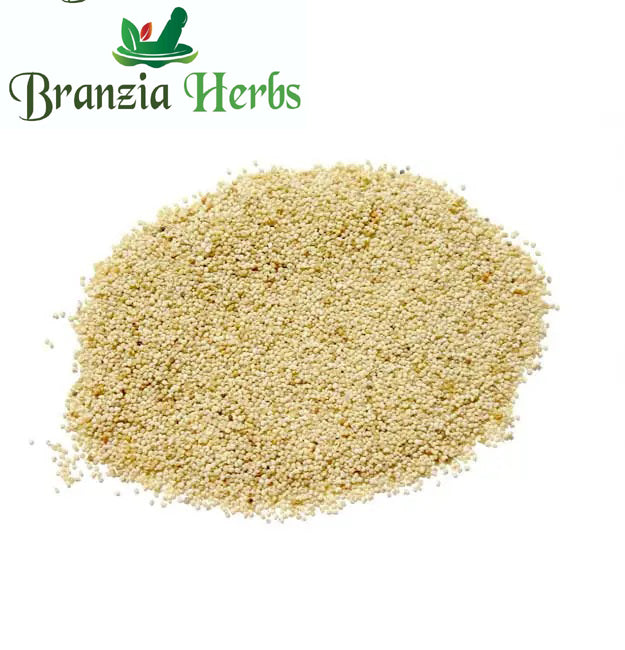 Poppy Seeds / Khaskhas / Gasalu - Branzia Herbs