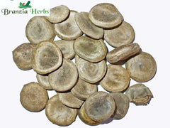 KUCHLA BEEJ – NUX VOMICA SEEDS - Branzia Herbs