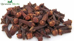 Indian Clove Whole / Lawang / Raw Clove / Syzygium Aromaticum - Branzia Herbs