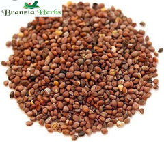 Muli Beej (Edible) – Radish Seed – Raphanus Sativus - Branzia Herbs