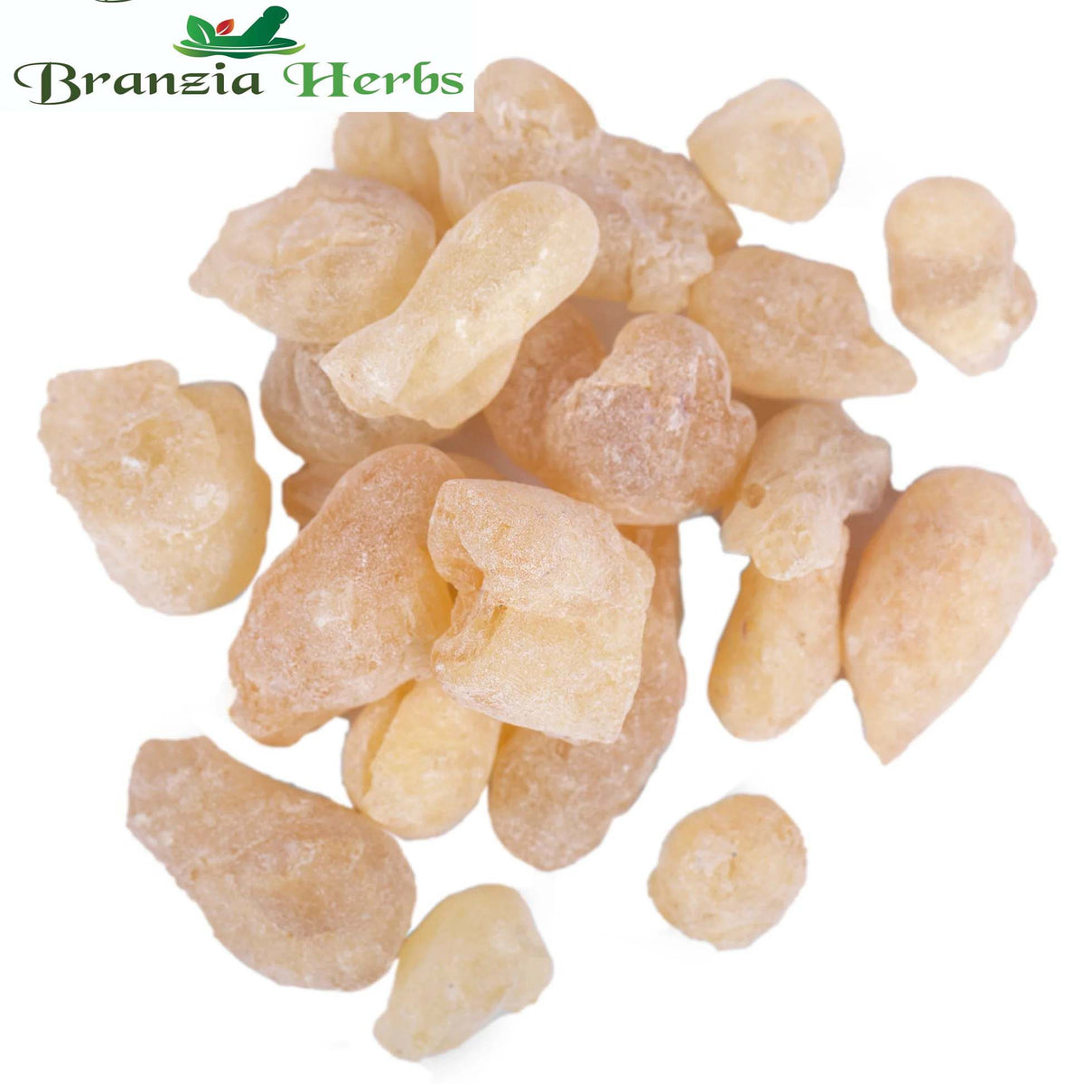 Gond Kondru - Shallaki Gum - Boswellia Serrata Gum - Branzia Herbs