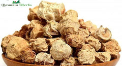Kachri Gol Curcuma Zedoaria - Branzia Herbs
