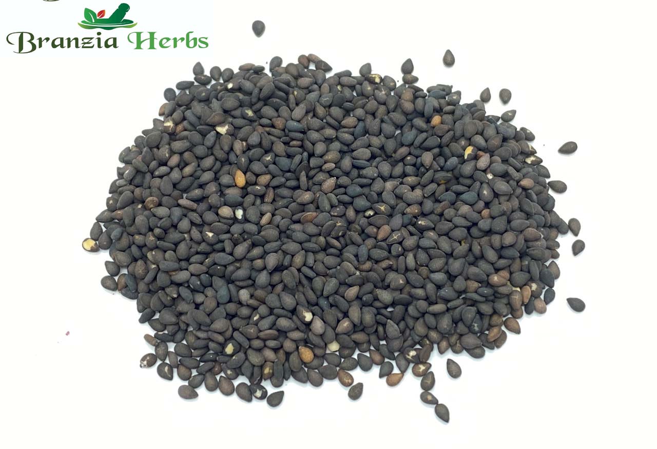 Kala Till- Kali Til - Black Sesame Seeds - Niger Seed - Sesamum Indicum - Branzia Herbs