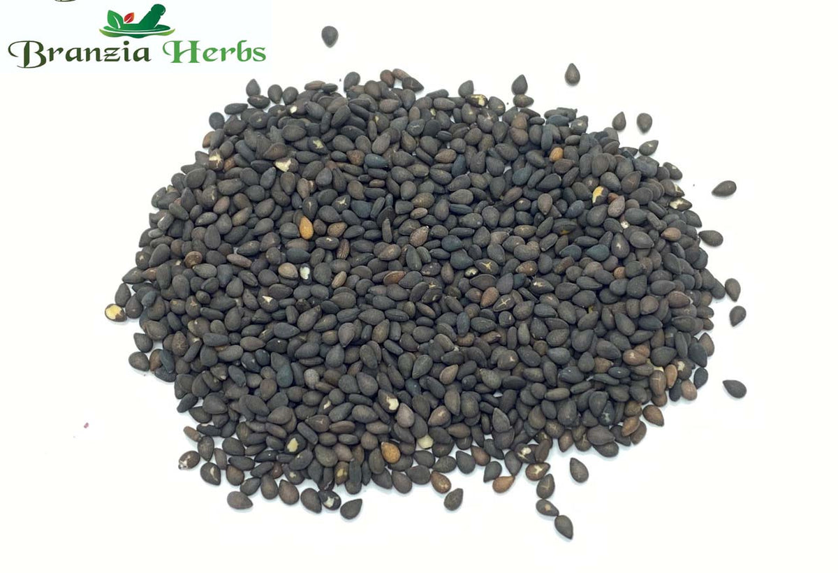 Kala Till- Kali Til - Black Sesame Seeds - Niger Seed - Sesamum Indicum - Branzia Herbs