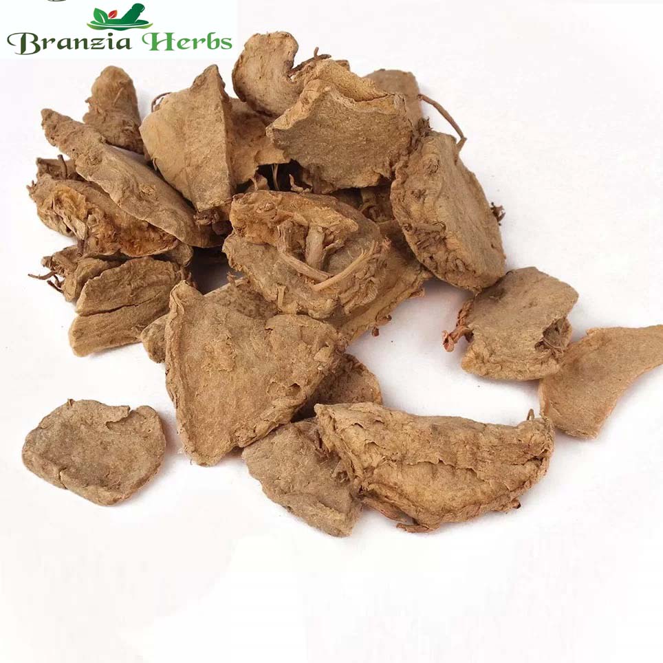 Kapoor Kachri - Kapur Kachri - Ekangi - Hedychium Spicatum - Spiked Ginger Lily - Branzia Herbs