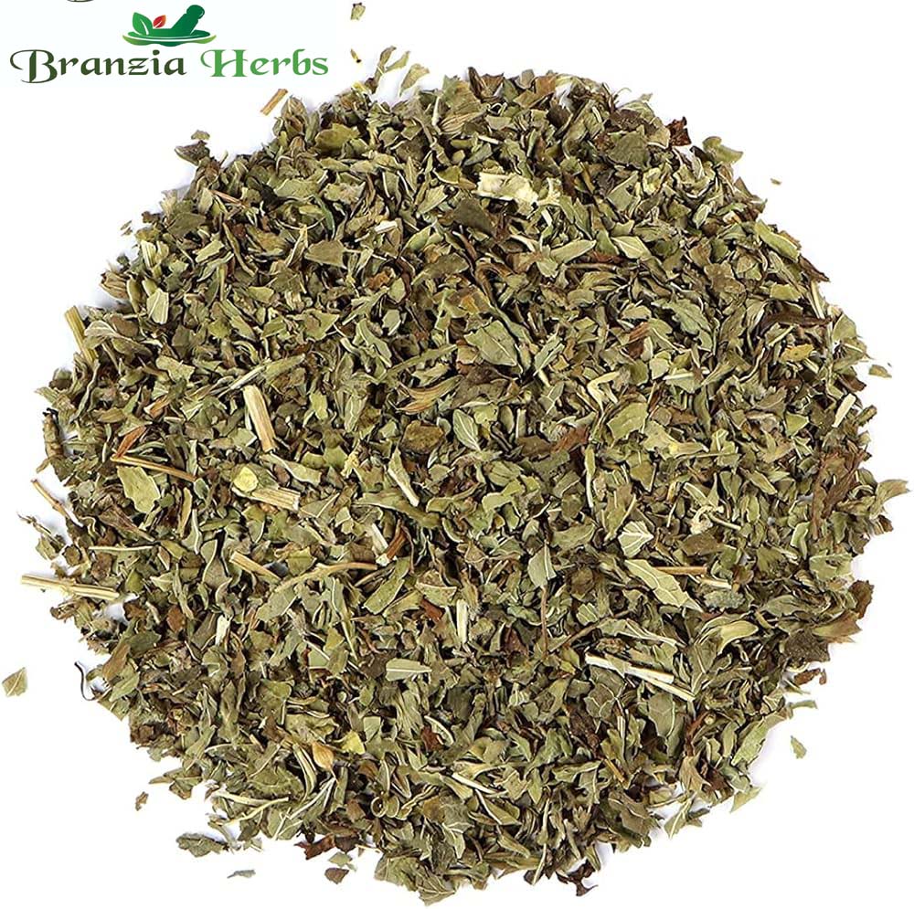 Lemon Balm Leaves (Tea Cut Format) - Melissa Officinalis - Lemon Balm Tea - Branzia Herbs