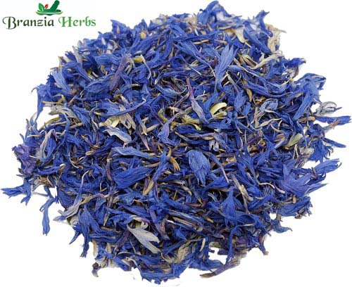 Dried Blue cornflower - Centaurea cyanus - Bachelor's button - Branzia Herbs