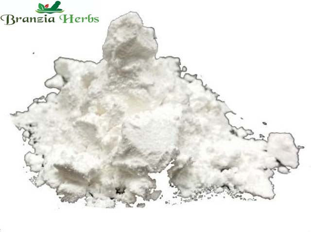 Arrowroot Wholesale - Branzia Herbs