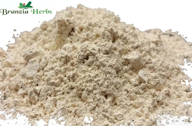 Horseradish Powder Wholesale - Branzia Herbs