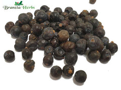 Juniper Berries Organic Wholesale - Branzia Herbs