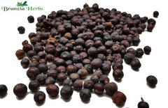 Juniper Berries Wholesale - Branzia Herbs