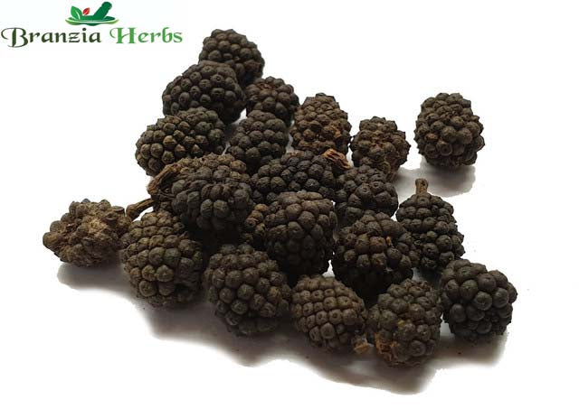 Assam Black Pepper Wholesale - Branzia Herbs