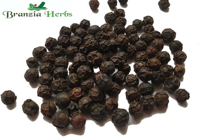 Kampot Black Pepper Wholesale - Branzia Herbs